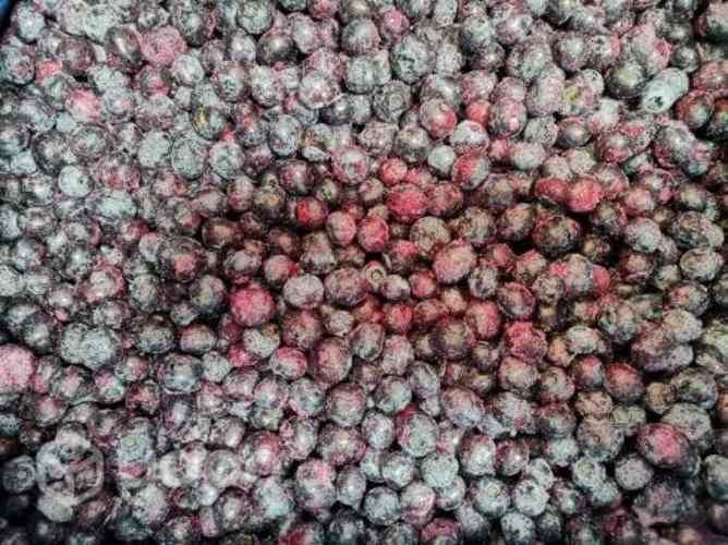 Arandanos Congelados por mayor