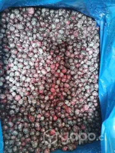 Arandanos Congelados por mayor