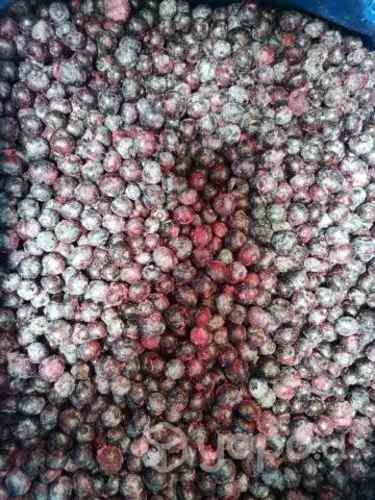 Arandanos Congelados por mayor