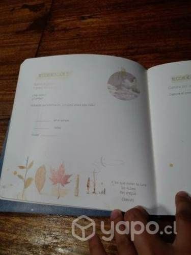 Libro para aprender a escribir haikus