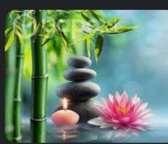 Terapias Alternativas y Complementarias