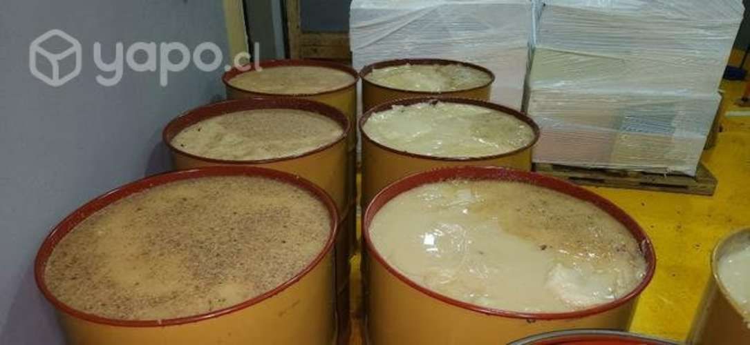 Miel de abejas Premium