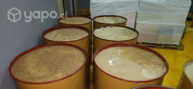 Miel de abejas Premium