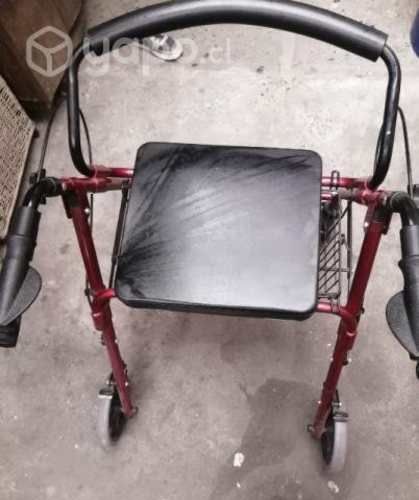 Silla de ruedas y burrito