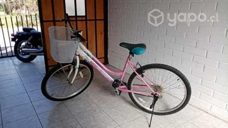 Bicicleta con canastillo