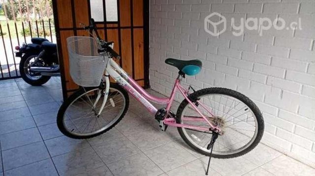 Bicicleta con canastillo