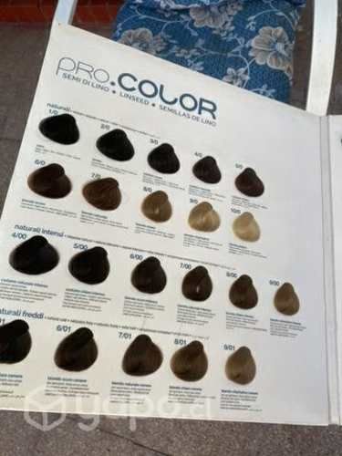 Carta de color PROCO