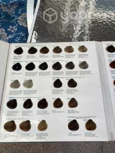 Carta de color PROCO