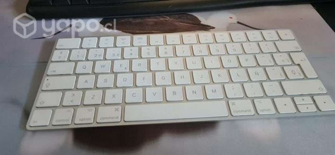 Teclado Apple Mac inhalambrico, muy poco uso