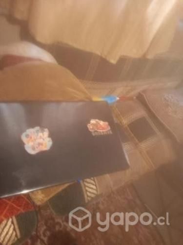 Notebook con detalles