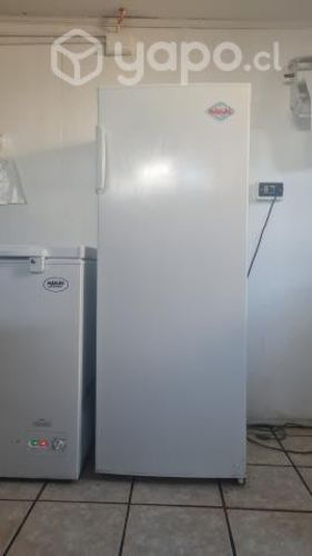 Cooler vertical 186 Lts