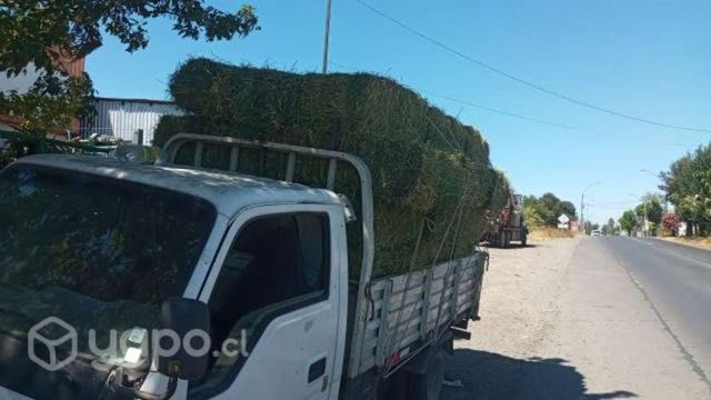 Fardos de alfalfa