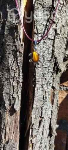 Lleva la suerte contigo con collar de tortuga