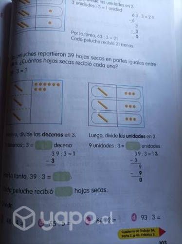 Pensar sin límites 3° básico