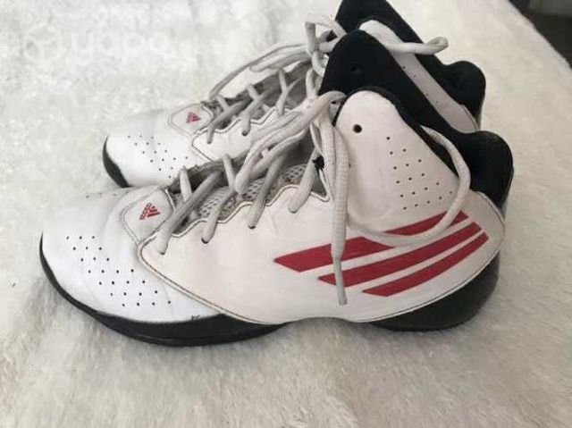 Zapatillas de Basketball