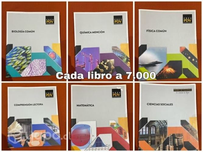 Libros pdv nuevos