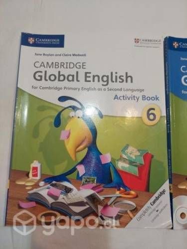Libro Csmbridge Global English 6