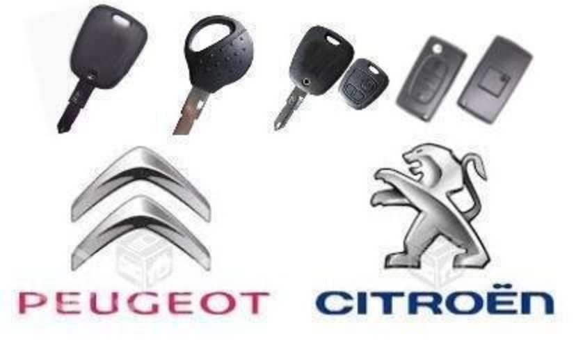 Llaves Peugeot Y Citroen Con Chip Y Programacion