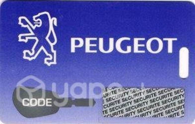 Llaves Peugeot Y Citroen Con Chip Y Programacion