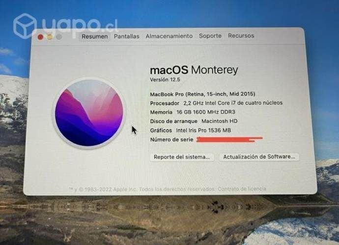 MacBook Pro (Retina, 15-inch, Mid 2015) excelente