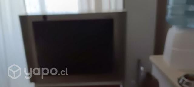 Televisor 29 pulgadas