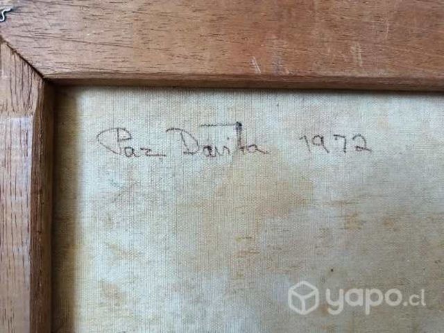 Cuadros Únicos Paz Davila