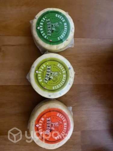 Quesos gourmet variedades
