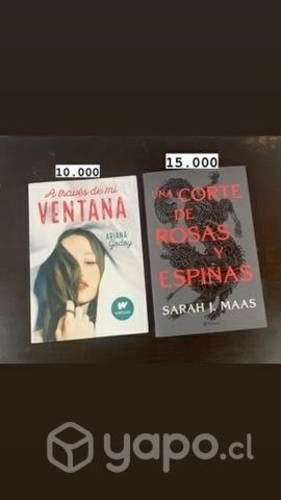 Libro a través de mi ventana y una corte de rosas