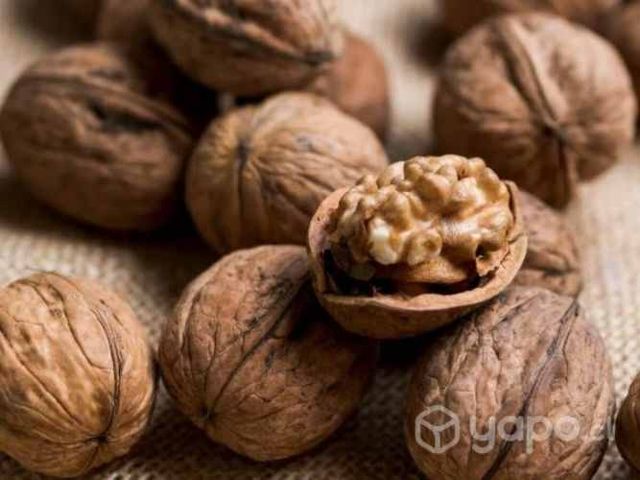Nueces con casacara sobre 10 kilos