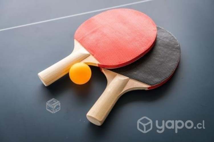 Set de Paletas de Ping-Pong con Pelotas + Malla