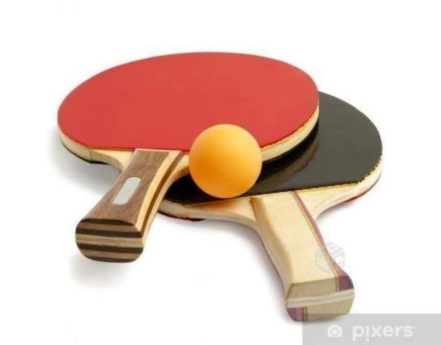 Set de Paletas de Ping-Pong con Pelotas + Malla