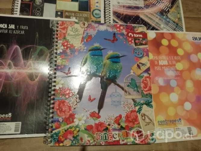 Pack de 7 cuadernos