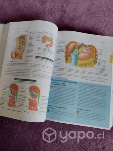 Libro Anatomía de Moore