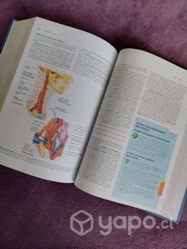 Libro Anatomía de Moore