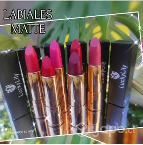 Caja de 24 labiales matte