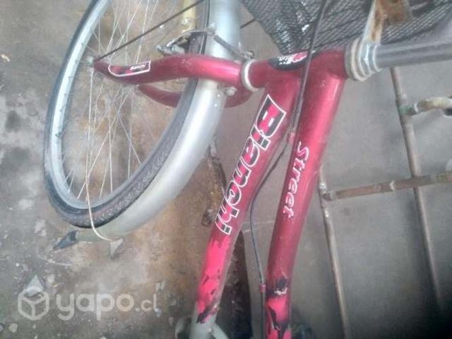 Bicicleta bianchi aro 26 mujer