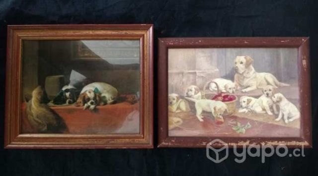 Cuadros con Dibujos de Perros, Antiguos