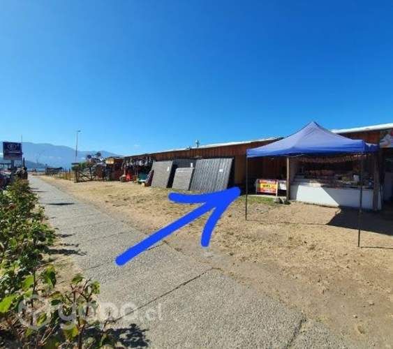 Económico Ajo Chilote Para Cocina Gourmet