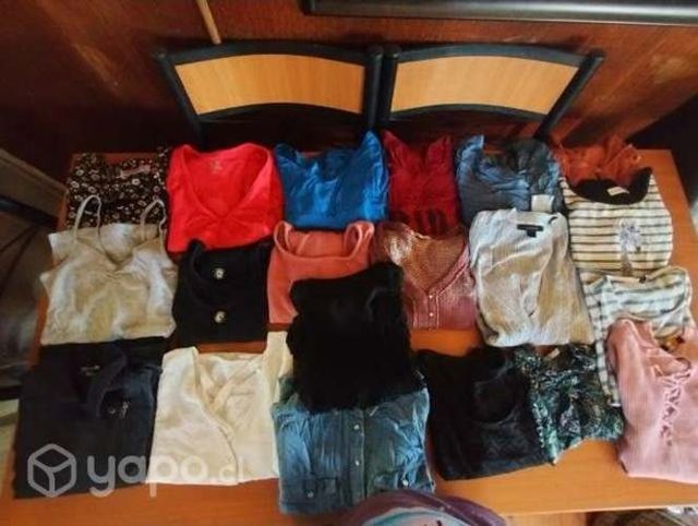 Lote de poleras
