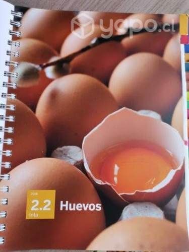 Libro tabla composición de alimentos