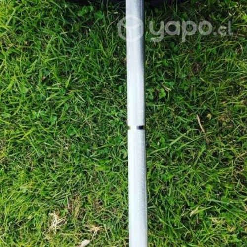 Lote barras olímpicas