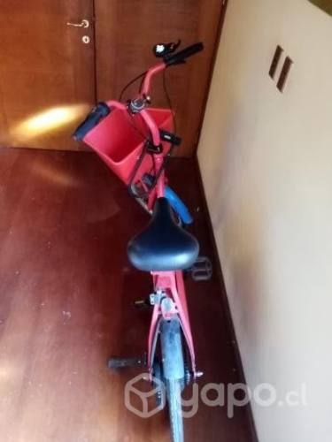 Bicicleta eléctrica + cargador