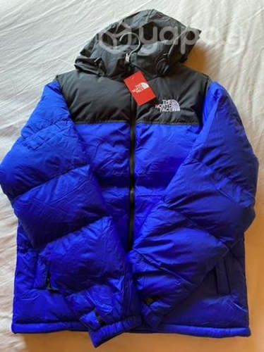 Chaqueta the north face TNF 700