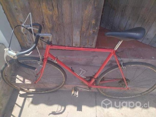 Bisiclata bianchi media pista