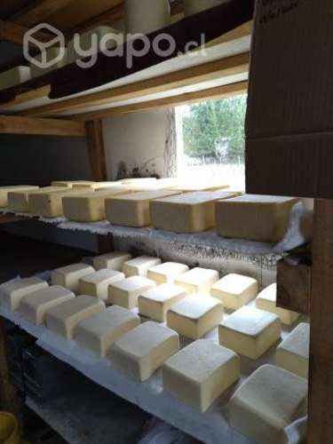 queso chanco mantecoso