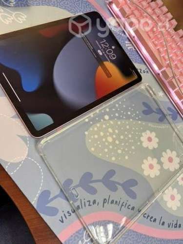 IPad Air quinta generación