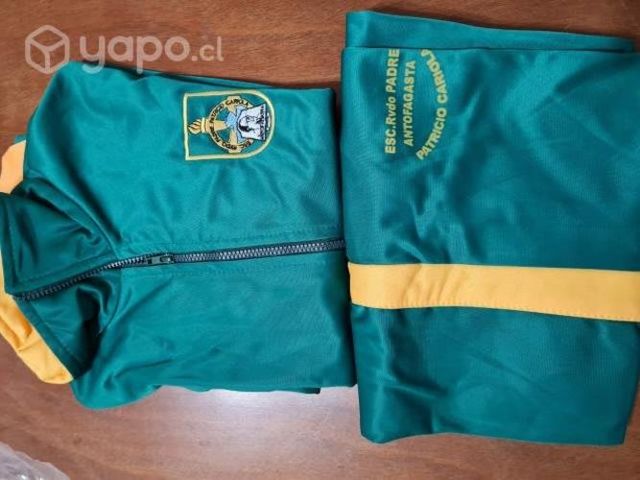 Buzo del colegio Padre Cariola