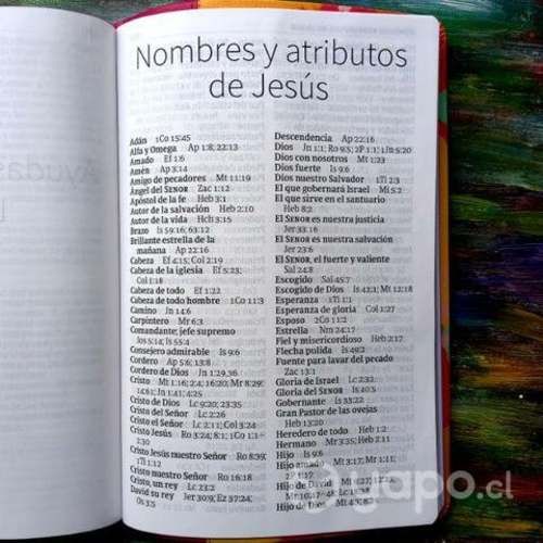 Biblia NVI