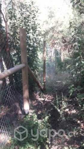 Parcela Viillarrica - Pucon sector Molco