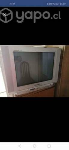 Televisor (tv)